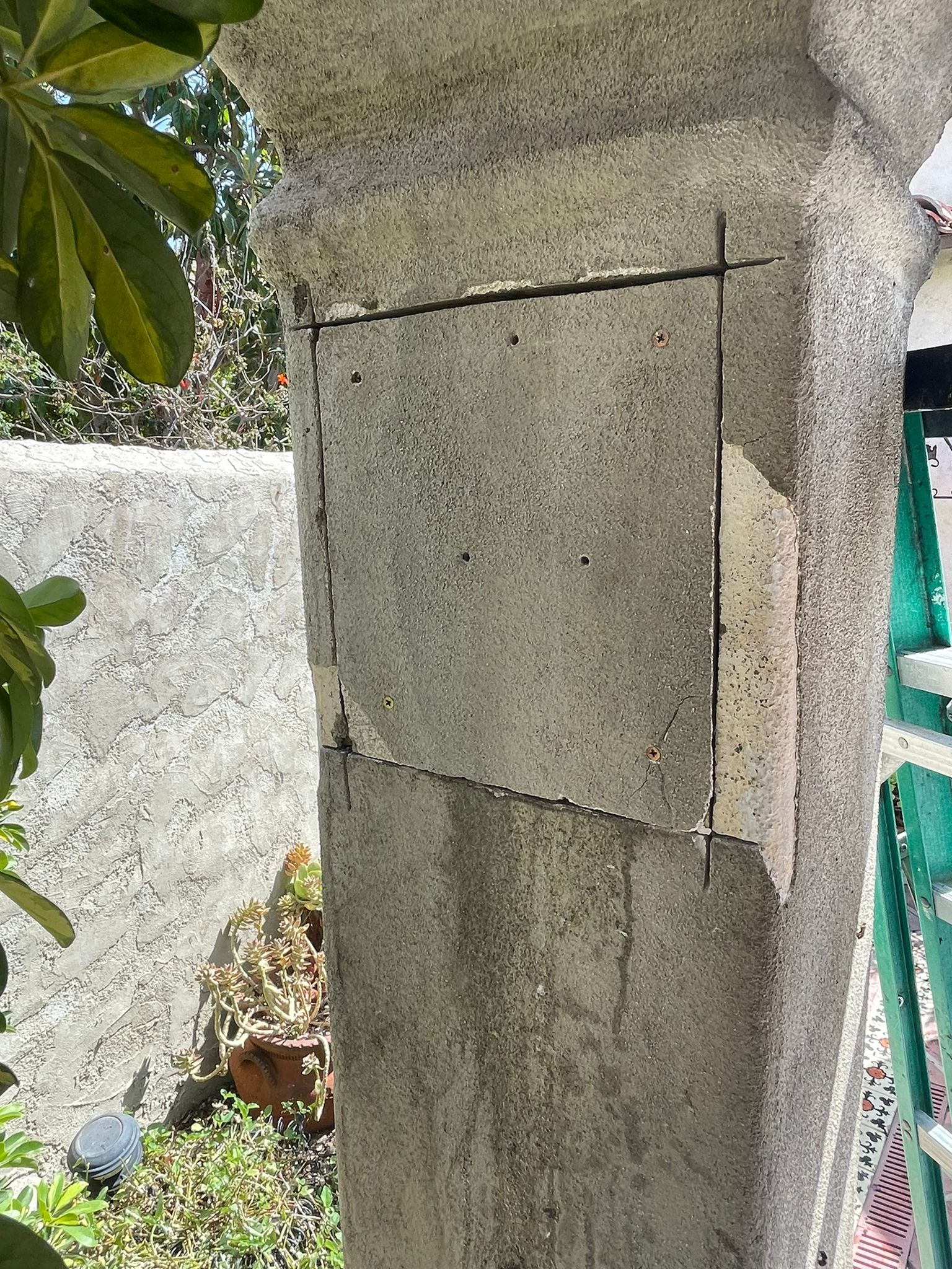 Opening section of column to expose bees