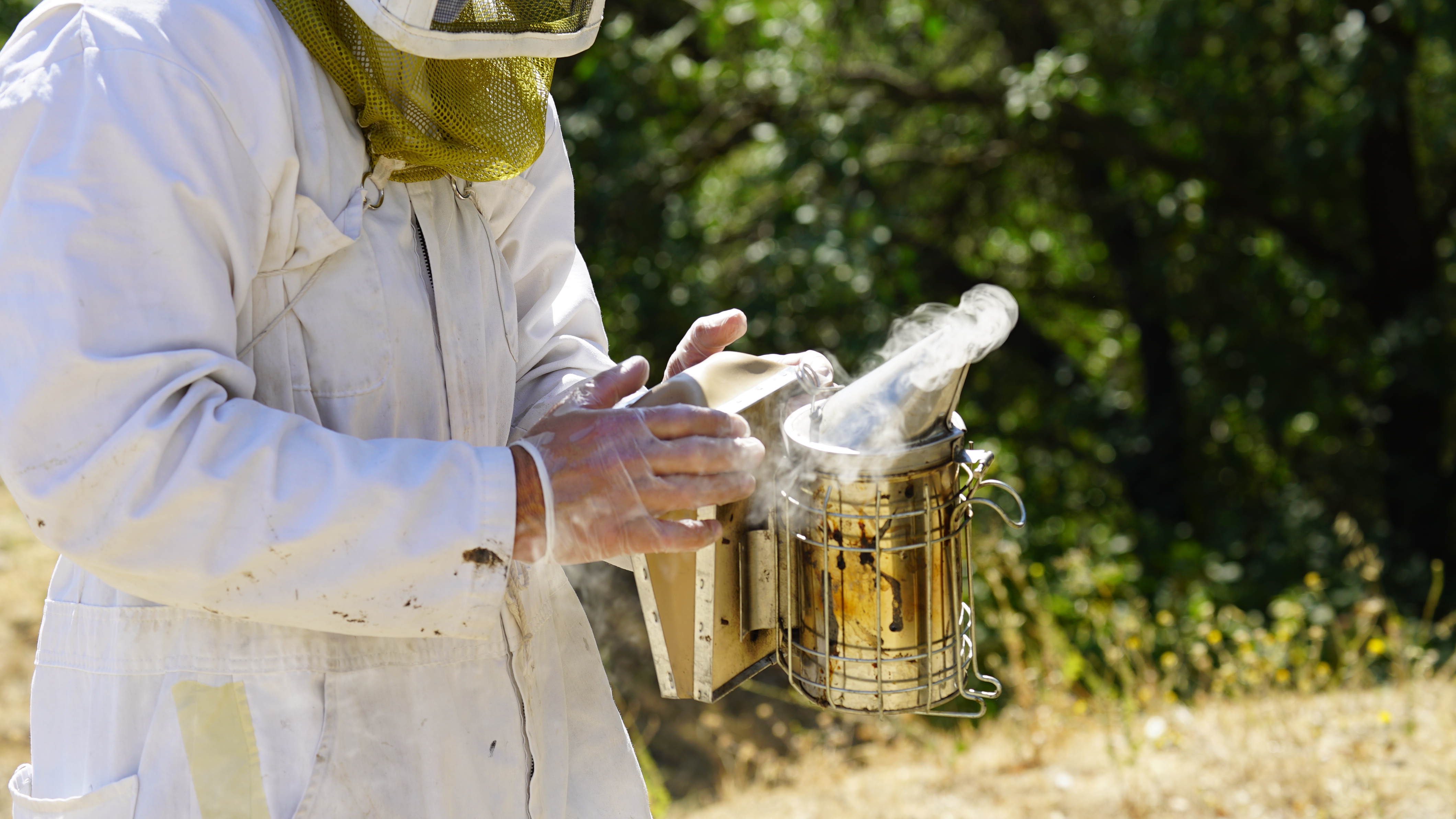 Bee smoker